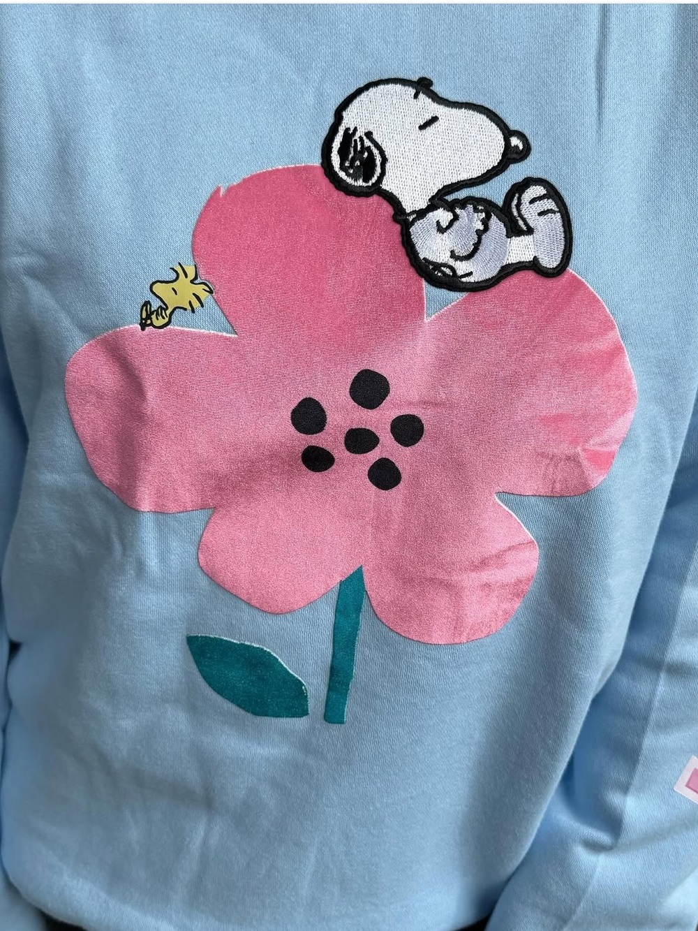 Peanuts Freeze Max Light Blue Crewneck with Pink Flower & Snoopy Graphic - Picture 4 of 15